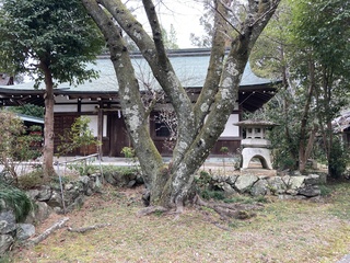 会話の奇跡！心を癒す「聞き方」と出会った時の事