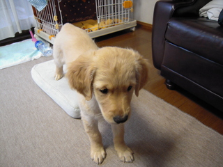 子育ては手間暇がかかるもの